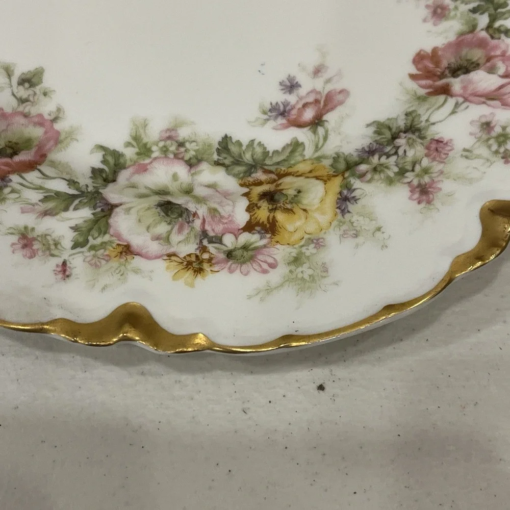 Rare Antique Haviland Limoge 9.5